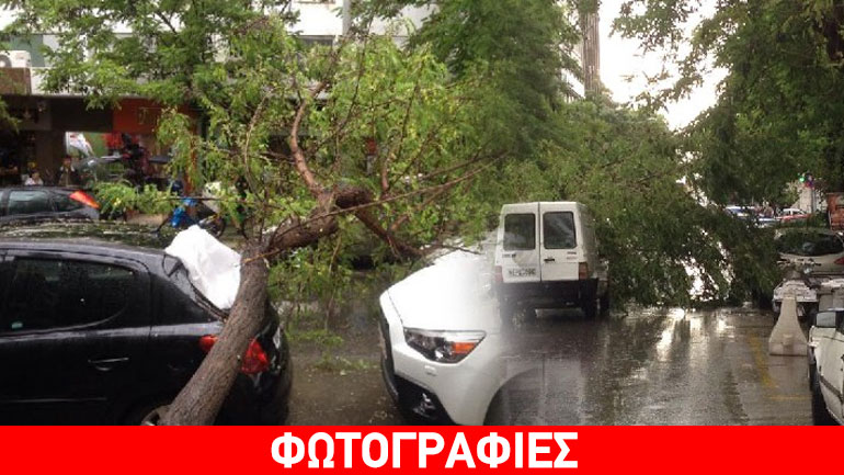 Προβλήματα από πτώση δέντρου στη Θεσσαλονίκη