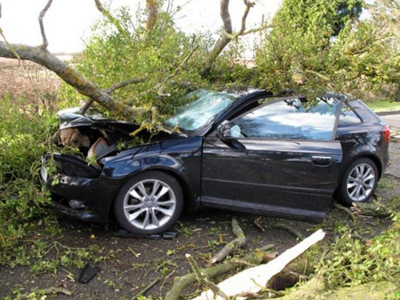 Δέντρο καταπλάκωσε Ι.Χ.