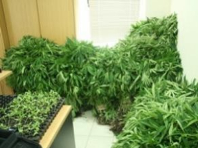 Είχε αδυναμία στον…κήπο του