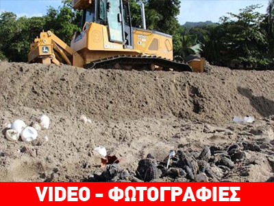 Τουρισμός Vs Δερματοχελώνες σημειώσατε… 1