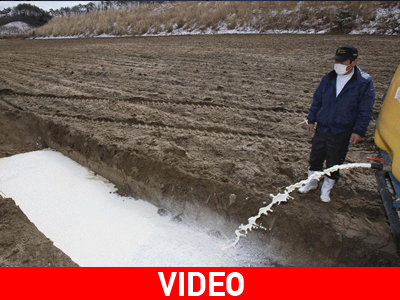 Ακατάλληλα για καλλιέργεια λόγω…τσουνάμι