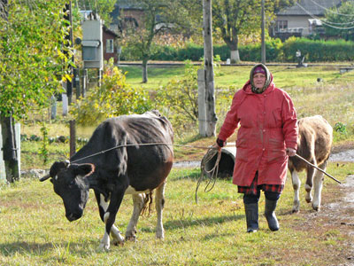 Ρωσικό «Stop» στις εισαγωγές γαλακτοκομικών προϊόντων από την Ουκρανία