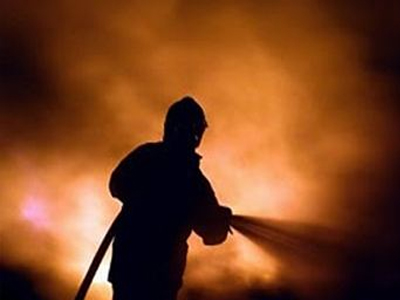 Φωτιά στην Αλίατρο Θήβας