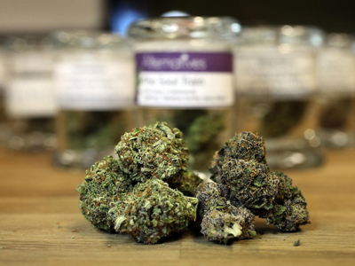 Τα βάζα ήταν γεμάτα… κάνναβη!