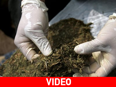 Αποπληρωμή χρεών – Καλλιέργεια μαριχουάνας σημειώσατε…