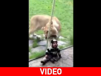 To προστατευτικό τζάμι της… χάλασε τα σχέδια