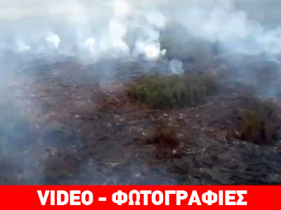 Χαβάη: Ποτάμι λάβας απειλεί αυτοκινητόδρομο!