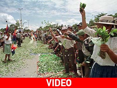 Βολιβία: Υπάρχουν και κάποιοι που θέλουν τον δρόμο