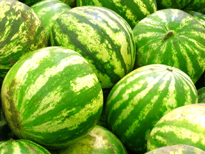 Τους έκρυβε μέσα στα καρπούζια