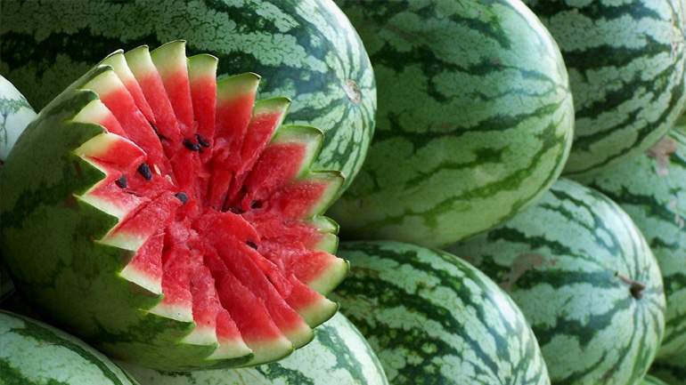 Κρύβονταν ανάμεσα στα καρπούζια