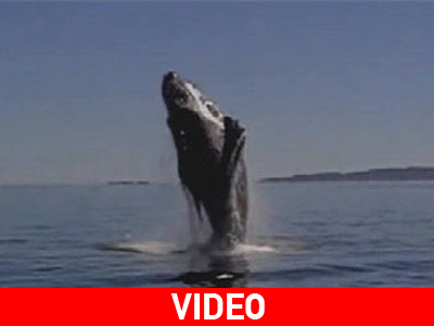 Την έσωσαν από βέβαιο θάνατο