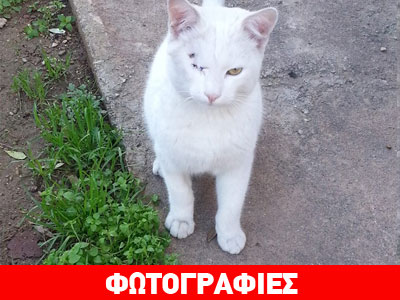 Βρέθηκε χειρουργημένος με ράμματα στη Νέα Σμύρνη