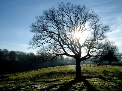 Ο καιρός των Χριστουγέννων