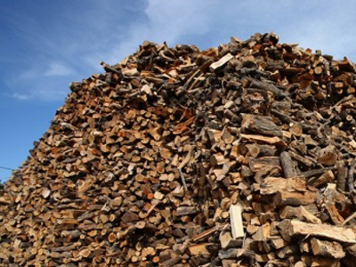 Ανεξέλεγκτη η λαθροϋλοτομία σε Ήπειρο-Δυτική Μακεδονία