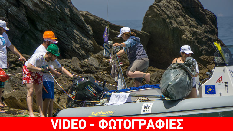 WWF: Καθαρίζουμε το σημαντικότερο σπίτι της μεσογειακής φώκιας στη Μεσόγειο