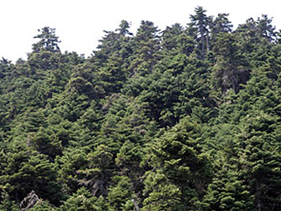 Σύλληψη για διακίνηση ναρκωτικών