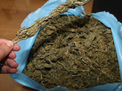 Έκρυβαν ναρκωτικά μέσα σε νηπιαγωγείο!