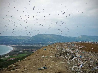 Ζάκυνθος: Καμία ρύπανση στον βιότοπο της καρέτα-καρέτα από τον πρώην ΧΥΤΑ