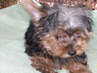 Βοηθήστε να βρεθεί