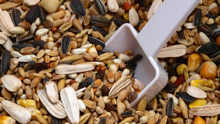 Πειραιάς: Δεσμεύτηκαν 40 τόνοι ζωοτροφές