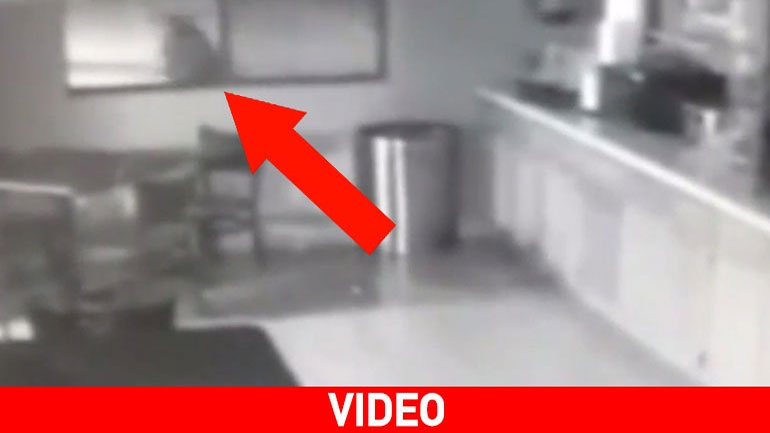 Ένας απρόσκλητος επισκέπτης…