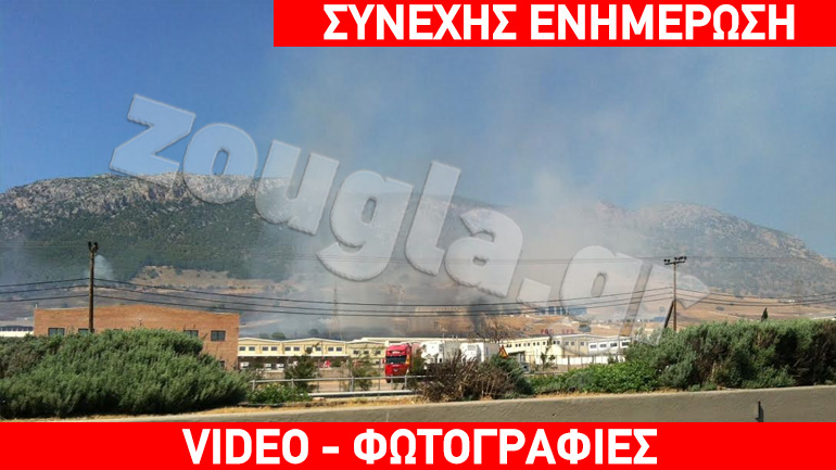 Στις φλόγες χορτολιβαδική έκταση στον Ασπρόπυργο