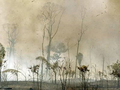 Στις φλόγες η Βολιβία