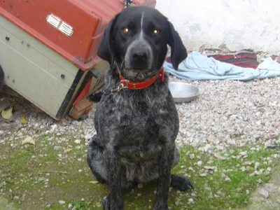 Ψάχνουν τον ιδιοκτήτη