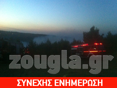 Καπανδρίτι: Η φωτιά έχει περιοριστεί στη χαράδρα