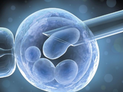 Η εξωσωματική γονιμοποίηση δεν πρέπει να είναι η εύκολη λύση