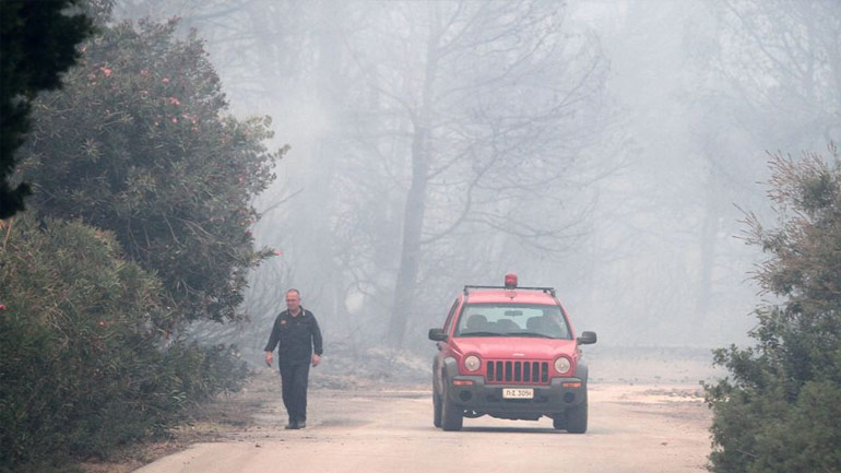 Υπό έλεγχο η πυρκαγιά στη Λίμνη Ευβοίας