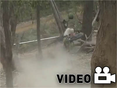 Τον εγκατέλειψαν οι δυνάμεις του και έπεσε σε δέντρο Τον εγκατέλειψαν οι δυνάμεις του και έπεσε σε δέντρο