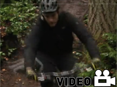 Πετάλι στην ομίχλη