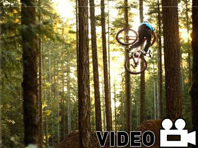 Φωτιά στα berms