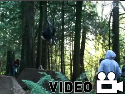 Party στο δάσος