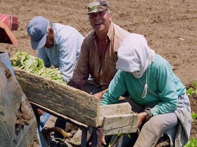 Ημερίδα: «Η Ξάνθη των ανατολικών καπνών»