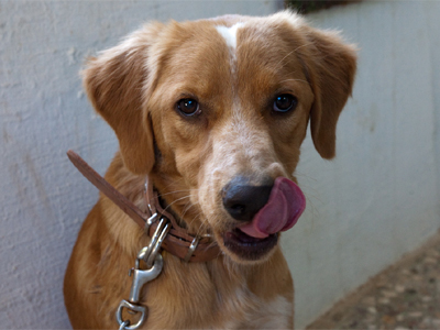 Χάρης όνομα και πράγμα!