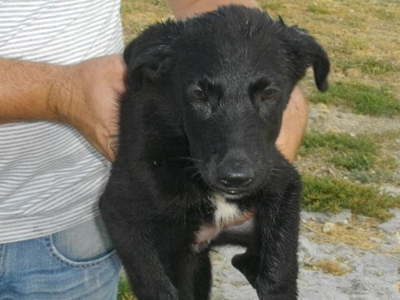 Χαρίζεται η όμορφη Ντάρλα