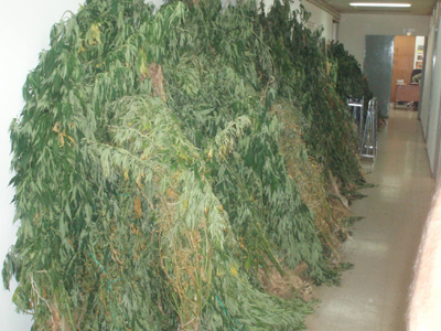 Συνέλαβαν 5, αναζητούν 1