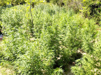 Το τσιγάρο έβγαλε «λαβράκι»