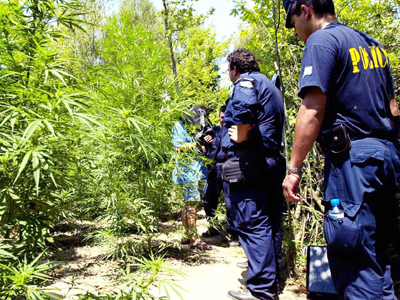 Συνελήφθη μετά από ενέδρα