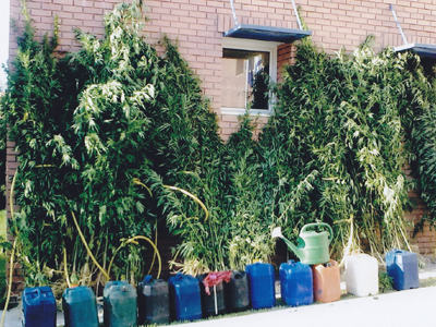 Τον συνέλαβαν επ’ αυτοφώρω