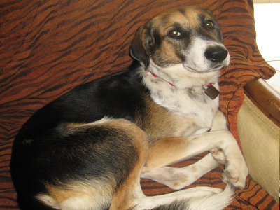 Χάθηκε ο Ραφ