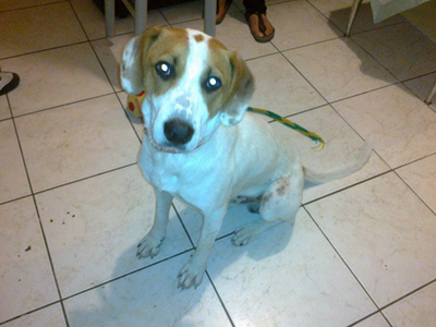 Ψάχνει το σπίτι του