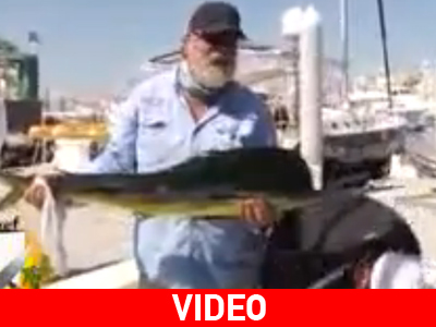 Πιάνει πουλιά στον αέρα! Πιάνει πουλιά στον αέρα!