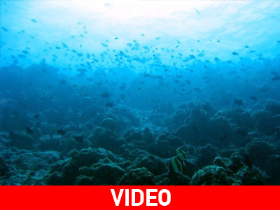 Διχάζει το εύρημα στο βυθό της Βαλτικής