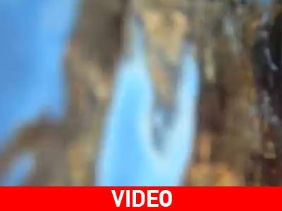 Χελώνα – cameraman