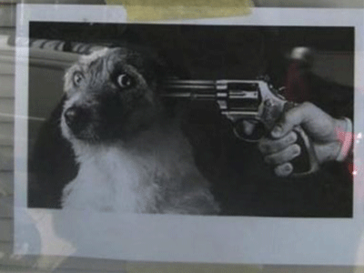 Σάλος με αφίσα σε κατάστημα της Κρήτης