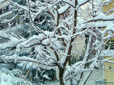 Παγετός και χιόνια στη Σάμο