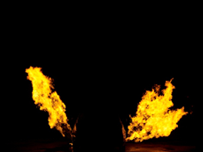 Taryn Simon: Black Square